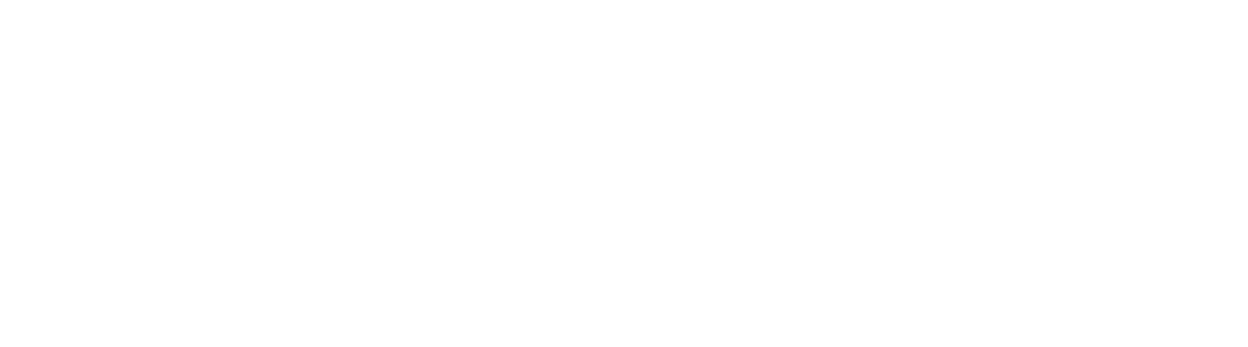 Blaze Allen LLC
